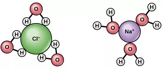 "NaCl ions in water, where Cl- ions interact with positive the positive H atom in a water molecule and Na+ ions interact with the negatively charged O atom in water."