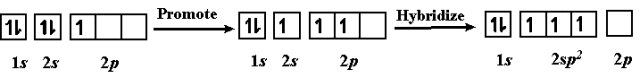 Diagram showing hybridization of boron's orbitals